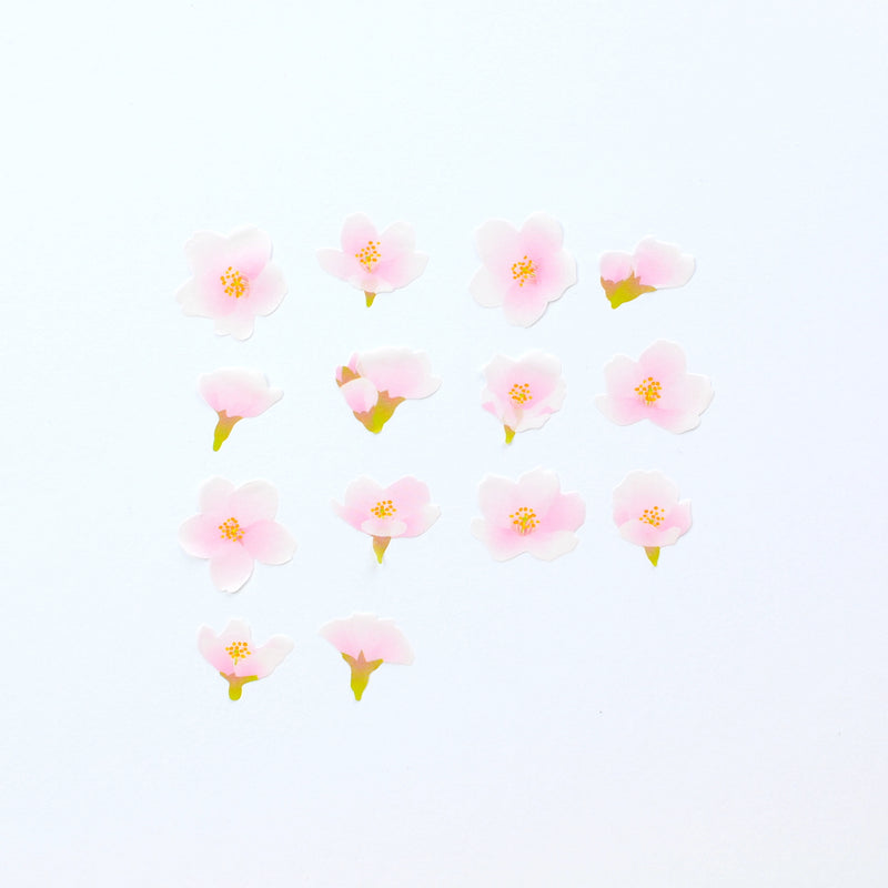 Bande Washi Roll Stickers -Yoshino Cherry Blossom-