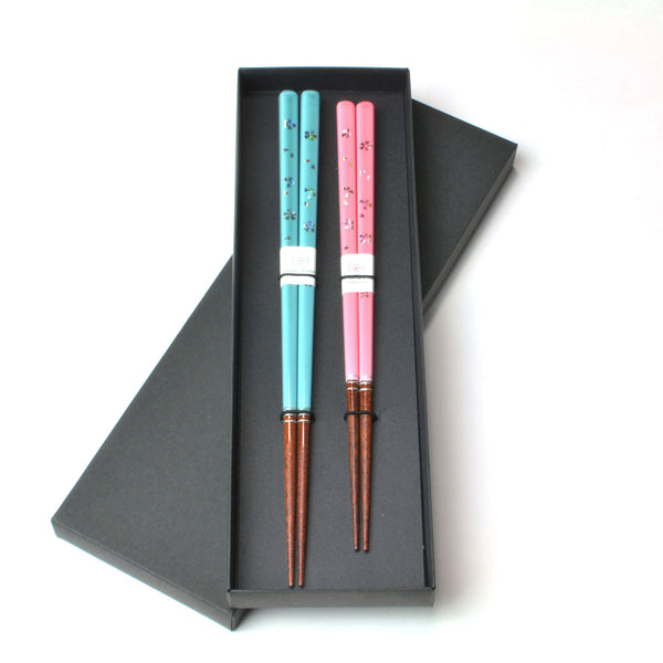 Ogishi-Tadashi Chopsticks Gift Set -Pastel-
